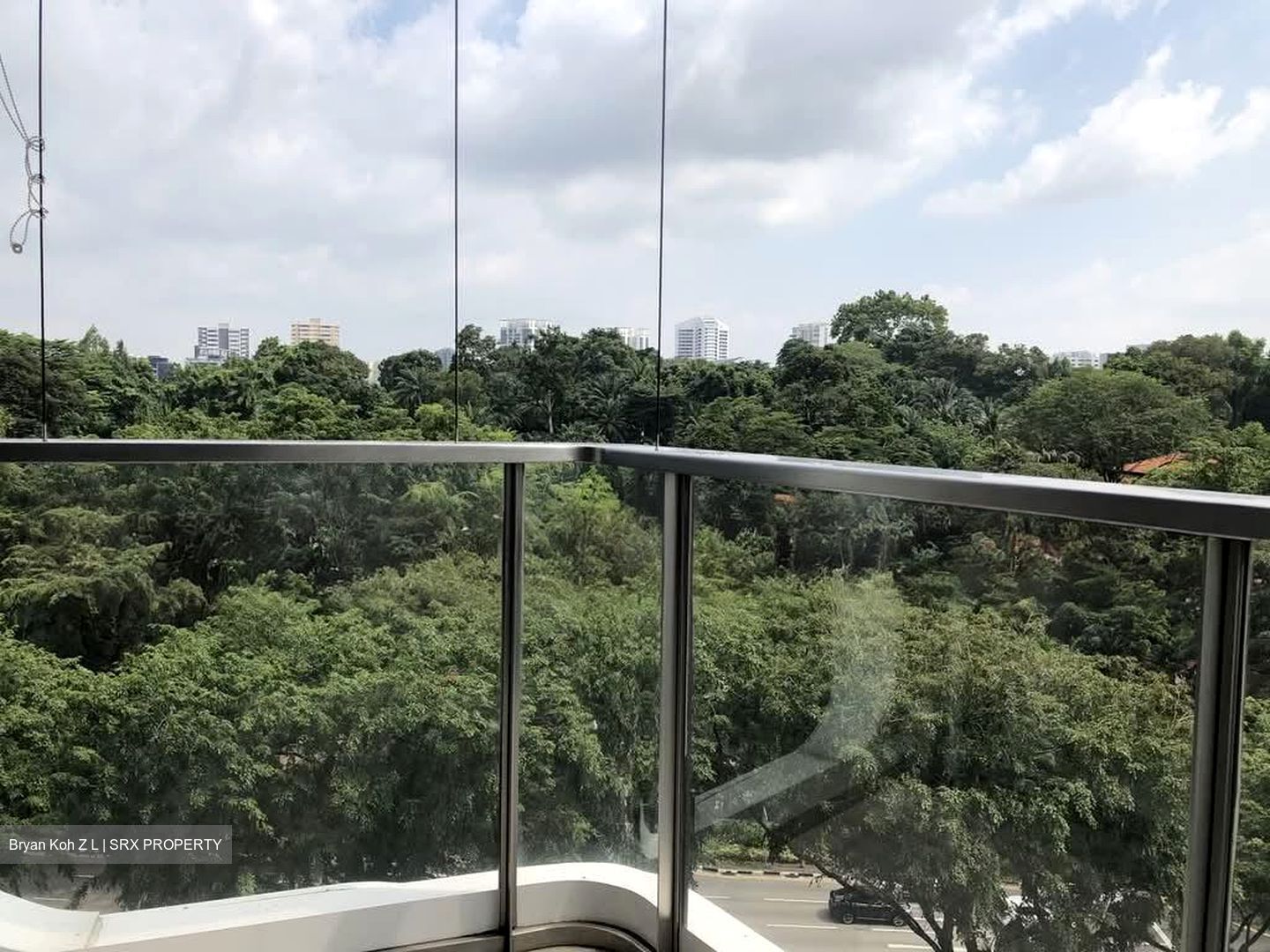 The Scotts Tower (D9), Condominium #591554241